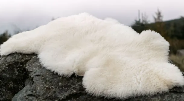 Sheepskin Rug Ivory